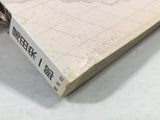 AAA3628 ONE PIECE Vol.36 Japanese Manga