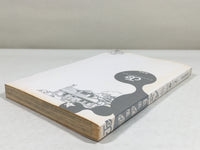 AAA3731 JoJolion Vol.2 Japanese Manga