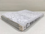 AAA3750 Big Windup! Vol.34 Japanese Manga
