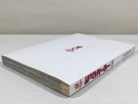 AAA3757 Big Order Vol.6 Japanese Manga