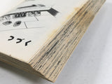 AAA4388 Yotsuba&! Vol.2 Japanese Manga