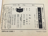 AAA4461 RAVE Vol.15 Japanese Manga