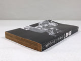 AAA4659 Kazuhiro Fujita Short Stories Night Song Vol.1 Japanese Manga