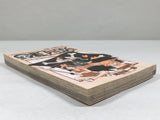 AAA4666 One Piece Vol.16 Japanese Manga