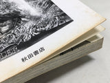 AAA4667 Grappler Baki Vol.9 Japanese Manga