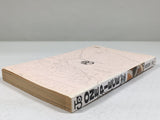AAA4680 One Piece Vol.3 Japanese Manga