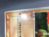Larvitar 033/PCG-P Promo Mcdonald's Pokemon Japanese LP - AAC1028