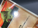 Larvitar 033/PCG-P Promo Mcdonald's Pokemon Japanese LP - AAC1028