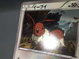 Eevee 010/018 Zekrom EX Deck Pokemon Japanese LP - AAC1034