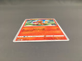 Charmander 289/S-P Promo Sword & Shield Promos Pokemon Japanese LP - AAC1186