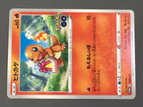 Charmander 289/S-P Promo Sword & Shield Promos Pokemon Japanese LP - AAC1186