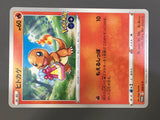 Charmander 289/S-P Promo Sword & Shield Promos Pokemon Japanese LP - AAC1187