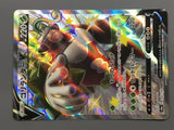 Rillaboom V 304/190 Holo Shiny Secret Rare Shiny Star V Pokemon - AAC1277