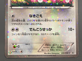 Eevee 235/BW-P 7 Eleven Promo Pokemon Fair Pokemon Japanese LP - AAC1280