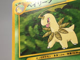 Bayleef No. 153 Promo Neo Premium File 1 Pokemon Japanese LP - AAC1290