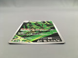 Team Rocket's Spidops 099/098 Holo Art Rare Glory of the Rocket Gang - AAC1330
