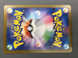 Team Rocket's Houndoom 100/098 Holo Art Rare Glory of the Rocket Gang - AAC1363