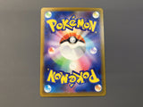 N's Zekrom 210/193 Holo Art Rare MEGA Dream ex Pokemon Japanese LP - AAC1391
