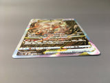 Hisuian Zoroark VSTAR 234/172 Holo Special Art Rare VSTAR Universe - AAC1443