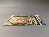 Hisuian Zoroark VSTAR 234/172 Holo Special Art Rare VSTAR Universe - AAC1443