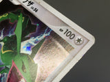 Rayquaza DPBP#442 Holo Rare Cry from the Mysterious Pokemon Japanese - ABA1122