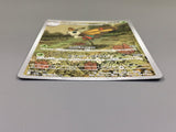 Beautifly 194/193 Holo Art Rare MEGA Dream ex Pokemon Japanese LP - ABA1353 - Photo 3