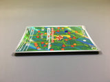 Shuckle 064/063 Holo Art Rare Mega Symphonia Pokemon Japanese LP - ACA1515