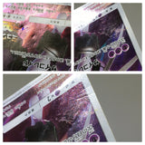 Armored Mewtwo 365/SM-P Holo SM-P: Sun & Moon Promos Pokemon Japanese - ACA1554