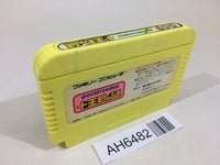 AH6482 Pocket Saurus Jyuouken no Nazo NES Famicom Japan