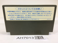 AH7013 Miracle Warriors Seal of the Dark Lord Haja no Fuin NES Famicom Japan