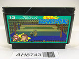 AH8743 Tag Team Pro Wrestling NES Famicom Japan