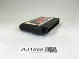 AJ1555 Hiryu no Ken Special Fighting Wars NES Famicom Japan