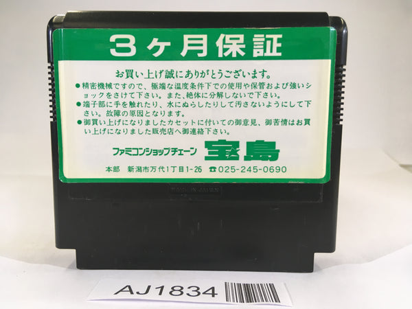 AJ1834 The Astyanax Lord of King NES Famicom Japan – J4U.co.jp