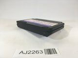 AJ2263 Mendel Palace Quinty NES Famicom Japan