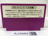 AJ3989 Spartan X Kung Fu Master Nintendo Famicom NES Japan