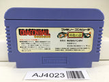 AJ4023 Dragon Ball Shenron no Nazo Nintendo Famicom NES Japan