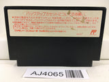 AJ4065 Cosmic Wars Nintendo Famicom NES Japan
