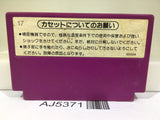 AJ5371 Spartan X Kung Fu Master Nintendo Famicom NES Japan