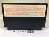 Wizardry II 2 Nintendo Famicom NES Japan - AJ5441