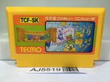 Solomon's Key Nintendo Famicom NES Japan - AJ5519