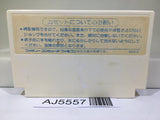 The Castle Excellent Nintendo Famicom NES Japan - AJ5557
