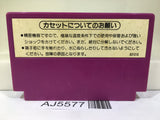 Spartan X Kung Fu Master Nintendo Famicom NES Japan - AJ5577