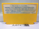 Solomon's Key Nintendo Famicom NES Japan - AJ5747