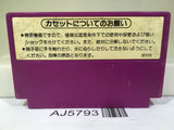 Spartan X Kung Fu Master Nintendo Famicom NES Japan - AJ5793