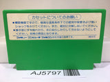 Buggy Popper Bump 'n' Jump Burnin' Rubber Nintendo Famicom NES Japan - AJ5797
