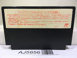 Wizardry II 2 Nintendo Famicom NES Japan - AJ5856