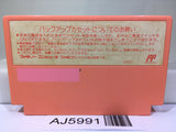 Kirby Kirby's Adventure Nintendo Famicom NES Japan - AJ5991