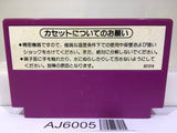 Spartan X Kung Fu Master Nintendo Famicom NES Japan - AJ6005