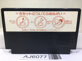 Tombs & Treasure Taiyou no Shinden Asteka 2 Nintendo Famicom NES Japan - AJ6077