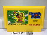 Dynamite Bowl Nintendo Famicom NES Japan - AJ6171